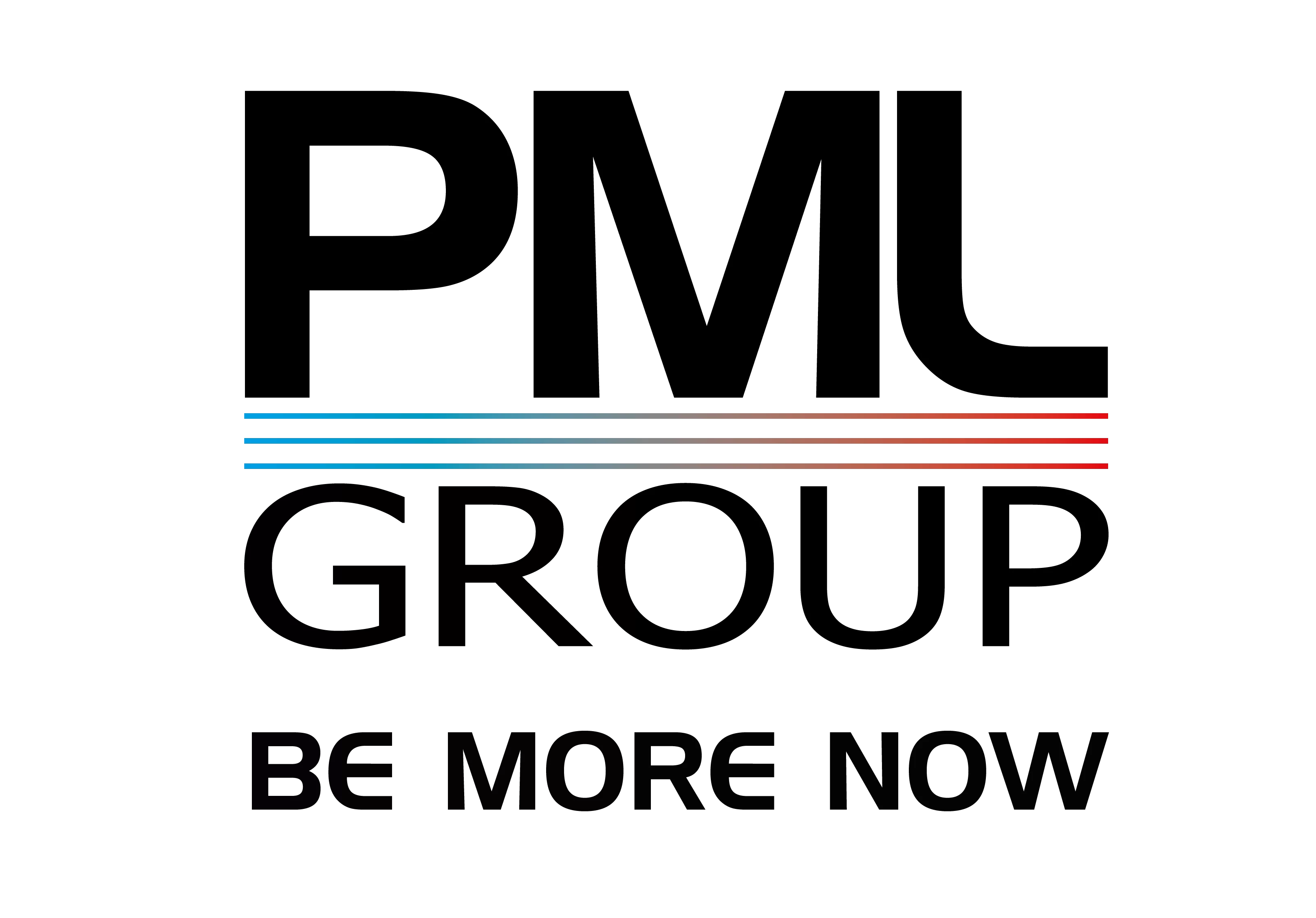 Company Logo for PML